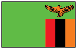 Zambia Flag
