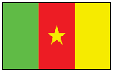 Cameroon Flag