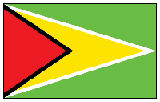 Guyana Flag